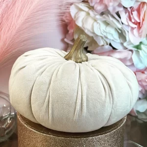 Zucchetta in velluto