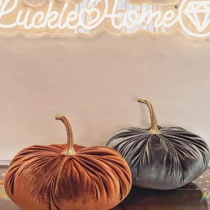 Zucca fatta a mano